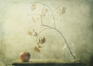  - Delphine Devos