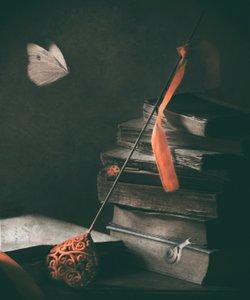  - Delphine Devos