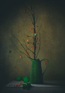  - Delphine Devos