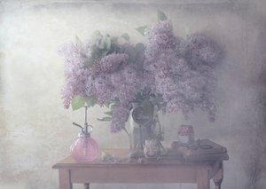  - Delphine Devos