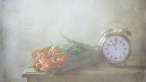 - Delphine Devos