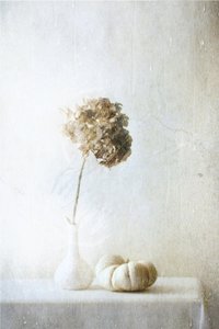  - Delphine Devos