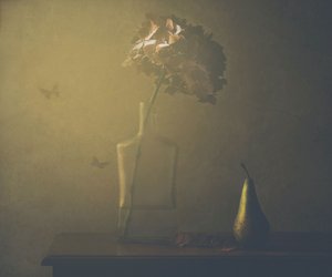  - Delphine Devos