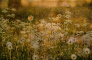  - Delphine Devos