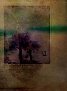  - Delphine Devos