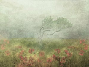  - Delphine Devos