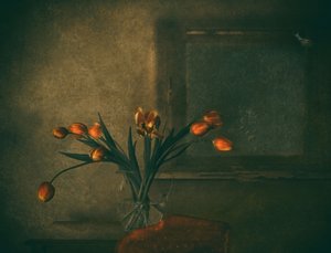  - Delphine Devos