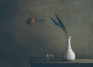  - Delphine Devos