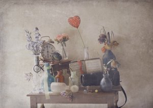  - Delphine Devos