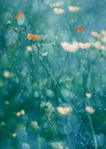  - Delphine Devos