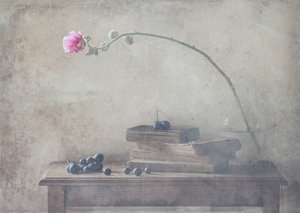  - Delphine Devos