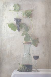 Nature morte avec des raisins de vendange - Delphine Devos
