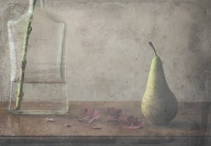  - Delphine Devos