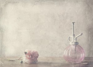  - Delphine Devos