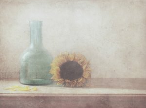 - Delphine Devos