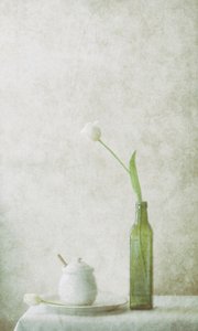  - Delphine Devos