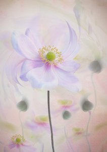  - Denis O Reilly