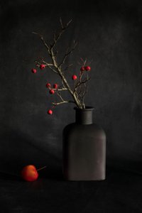 Nature morte aux baies pourpres