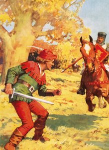 Robin des Bois attaqué