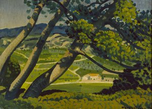 Arbres, Provence, 1912