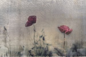  - Desislava Ignatova