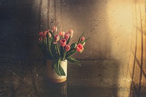  - Desislava Ignatova