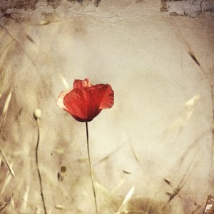  - Desislava Ignatova