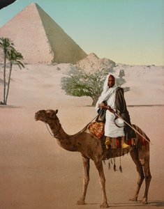 Bédouin sur un chameau et la Grande Pyramide, Le Caire, Égypte