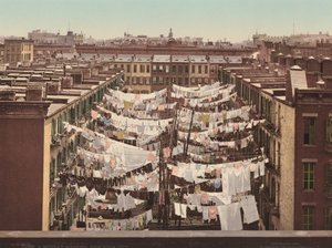 Une lessive du lundi, New York, publié en 1900 - Detroit Photographic Company