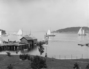 Bar Harbor, île de Mt. Desert, Maine, le port depuis Newport House, c.1901 - Detroit Publishing Co.