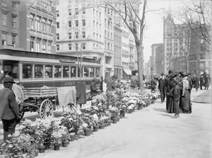 Vendeurs de fleurs, exposition de Pâques, New York, USA, vers 1904