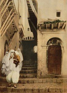 Rue des chameaux, Alger, vers 1899 (photochromie) - Detroit Publishing Co.