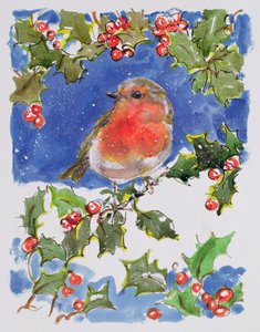 Rouge-gorge de Noël - Diane Matthes
