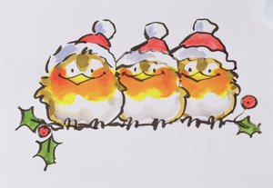 Rouges-gorges de Noël - Diane Matthes