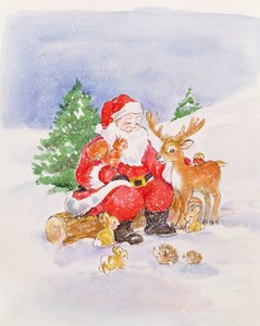 Père Noël et amis - Diane Matthes