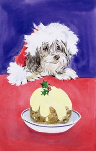Le pudding de Noël - Diane Matthes