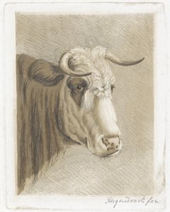 Koekop - Diederik Jan Singendonck (signed by artist)