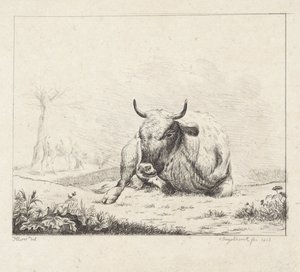 Vache couchée - Diederik Jan Singendonck