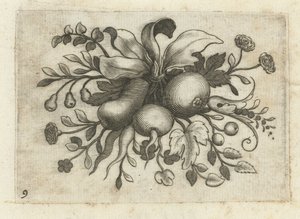 Feston de fruits (Fruchtenbuchlein zum Reisen dienlich, titre de la série)