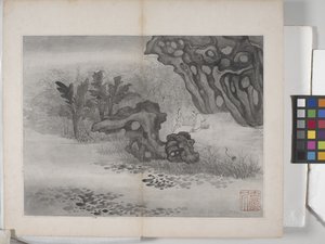 Album de paysages - Ding Yunpeng