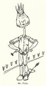 M. Tulip