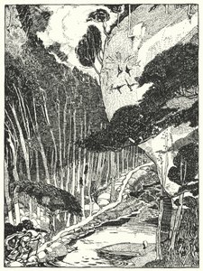 La Forêt sombre - Dion Clayton Calthrop