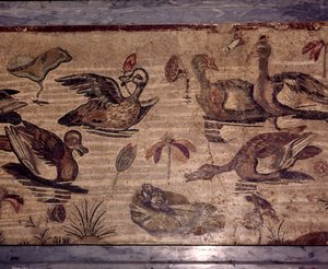 Mosaïque Romaine de Pompéi de canards et grenouilles dans un jardin aquatique - Dioscurides of Samos