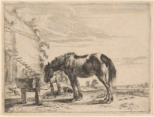 Un cheval attaché à une mangeoire - Dirck Stoop