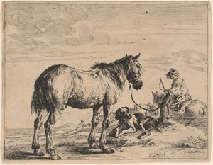 Un cheval attaché à un poteau avec un chien couché - Dirck Stoop