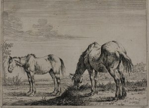 Cheval broutant, planche trois de la série des chevaux - Dirck Stoop