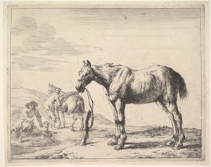 Cheval attaché à un poteau, tourné à gauche