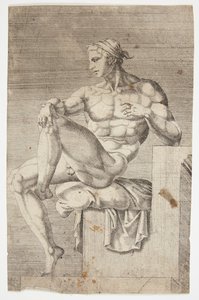 Nu de la chapelle Sixtine - Dirck Volckertsz. Coornhert