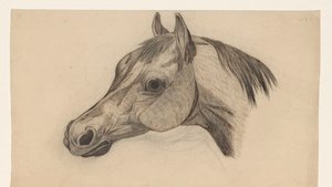 Tête de cheval, vers la gauche