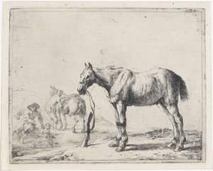 Cheval attaché à un poteau vers la gauche
